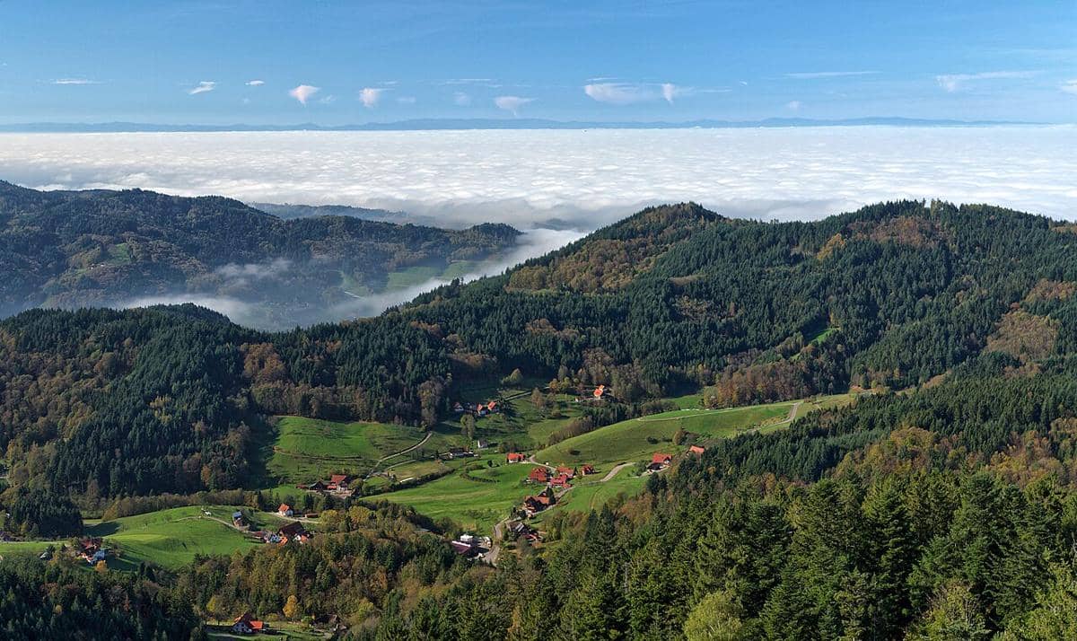 Pegunungan Vosges merupakan salah satu wilayah yang memiliki hutan lebat di Eropa barat
