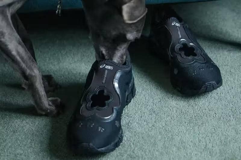 Anjing berwarna abu-abu mencium sepatu hitam model slip-on kolaborasi ASICS Gel-Quantum 360 I x Cecilie Bahnsen di atas karpet hijau.