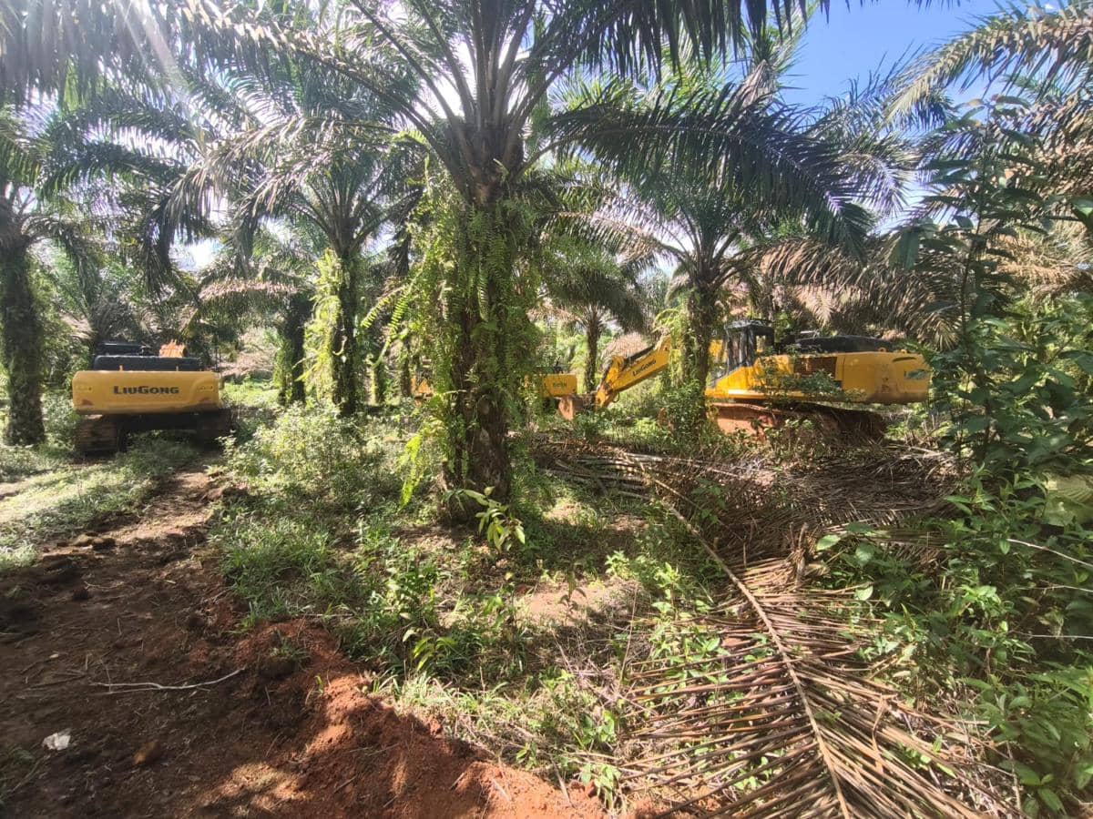 Kejagung Sita Lamborghini hingga Ekskavator di Kasus Bauksit Kalbar