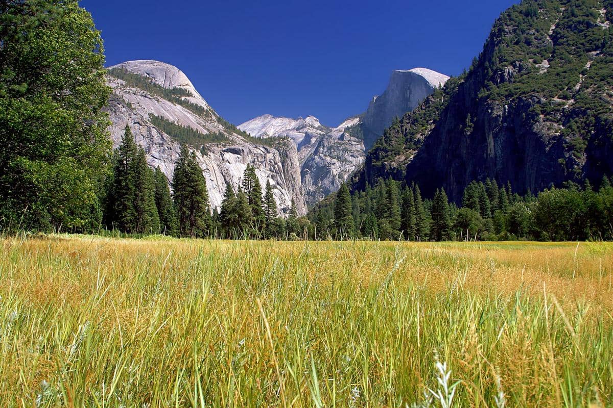 potret pemandangan National Park Yosemite 