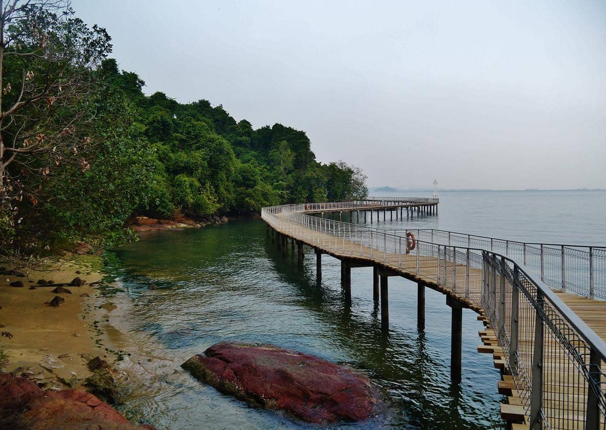 Bulan Terbaik ke Pulau Ubin Singapura untuk Wisata Alam yang Tenang