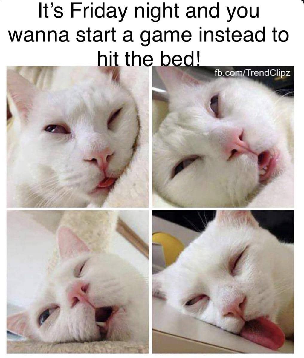 meme kucing tentang Jumat