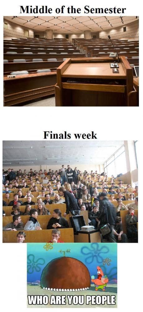 meme SpongeBob tentang semester