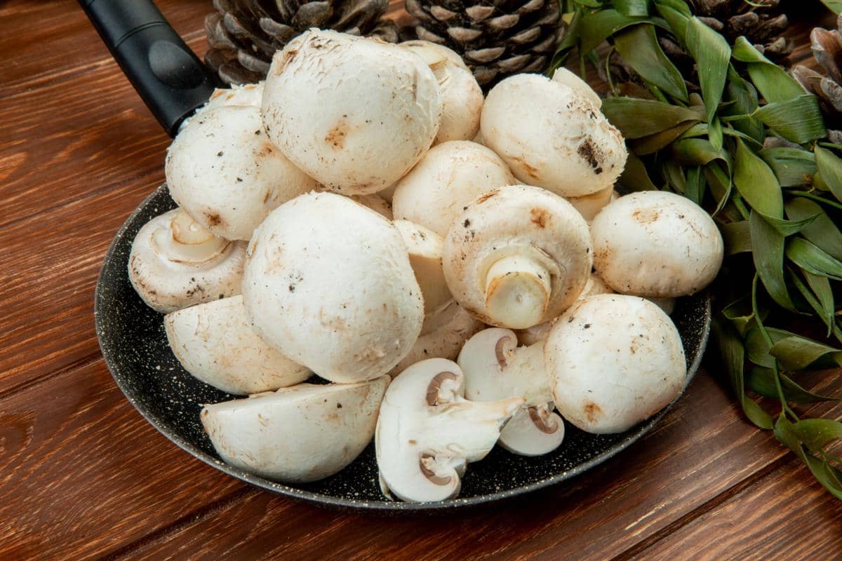 Benarkah Jamur Kancing Cocok untuk Diet Rendah Kalori?