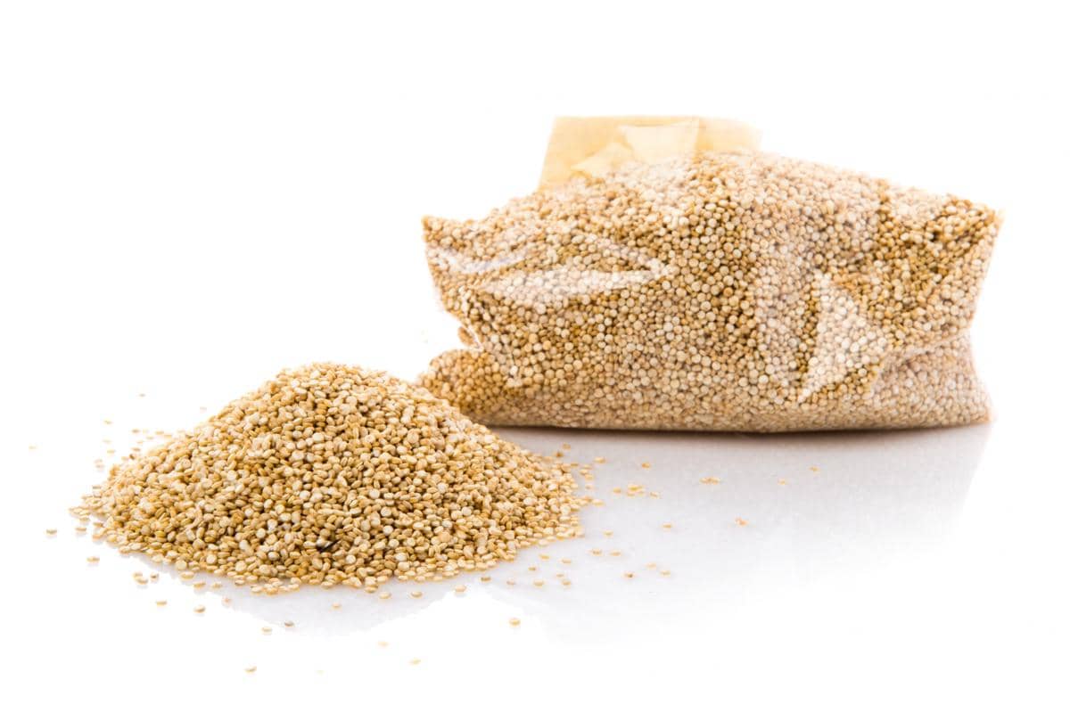 ilustrasi biji quinoa