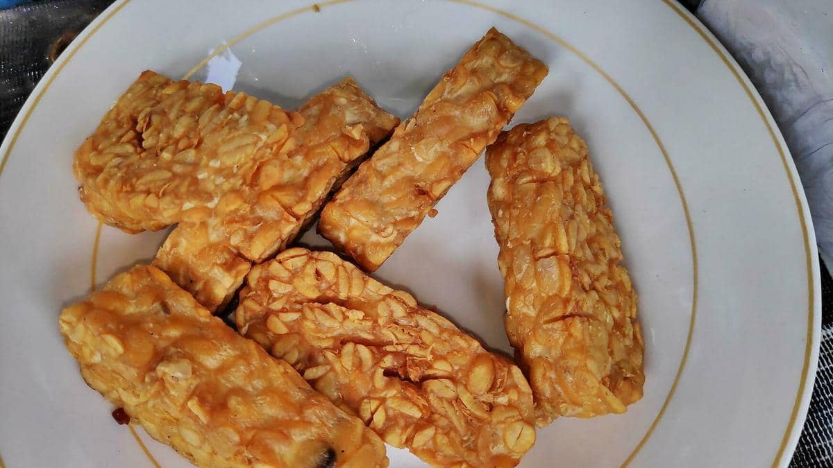 ilustrasi tempe goreng