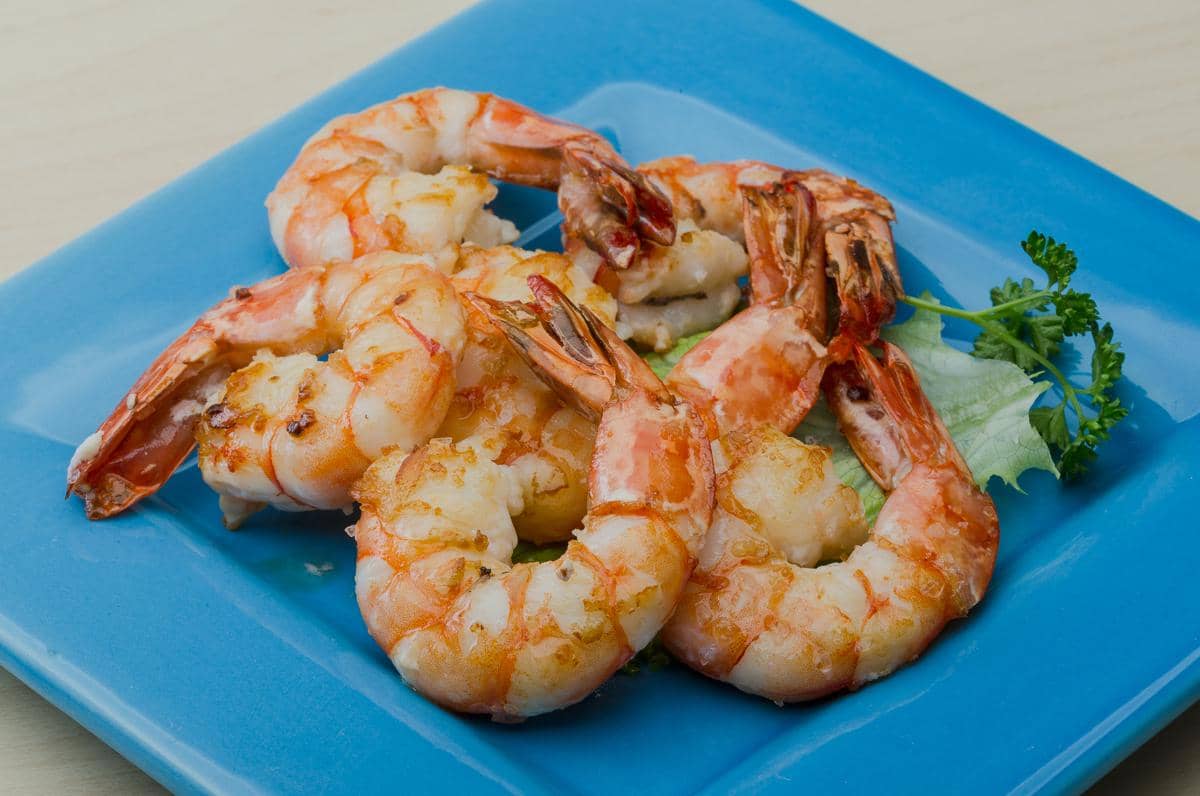 ilustrasi udang cincin