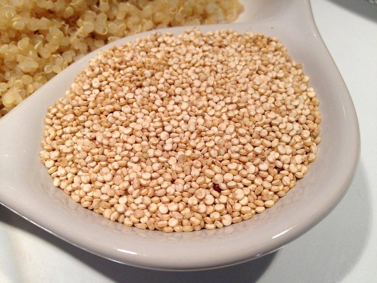 ilustrasi quinoa dengan protein tinggi 