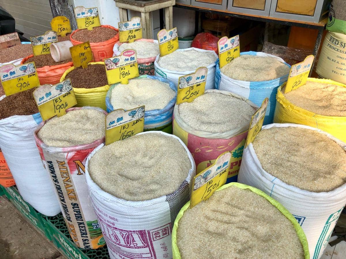 Beras Awet dan Bebas Kutu, Ini 5 Cara Penyimpanan yang Tepat