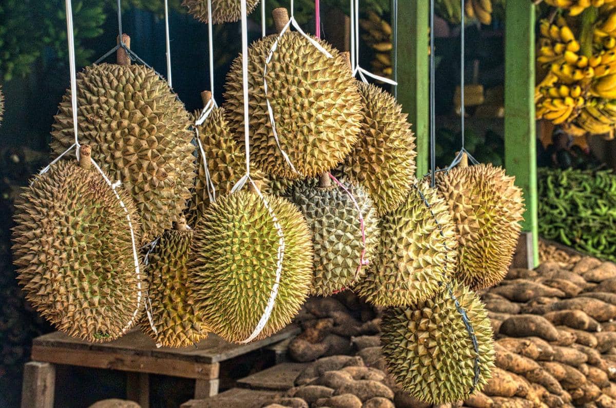 Malaysia Tsunami Durian, Musang King Dijual Rp39 Ribu per Kg