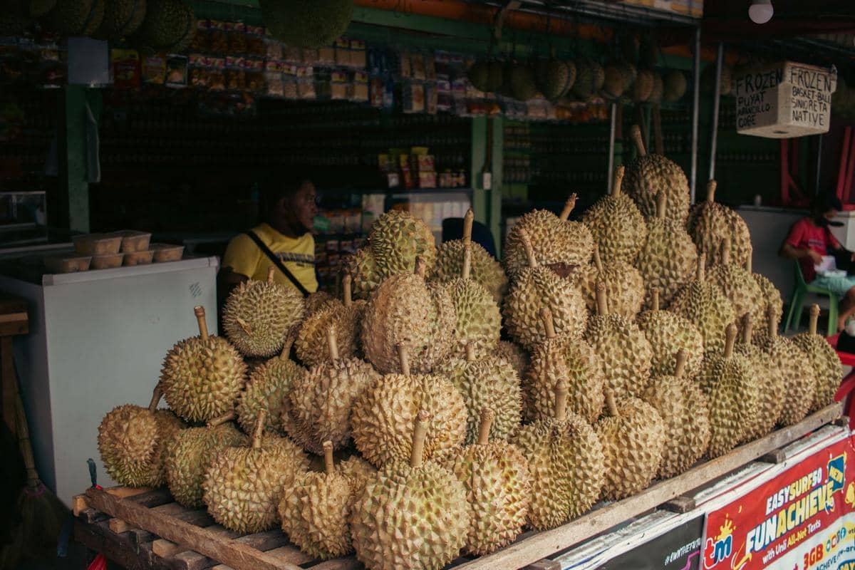 Malaysia Tsunami Durian, Musang King Dijual Rp39 Ribu per Kg