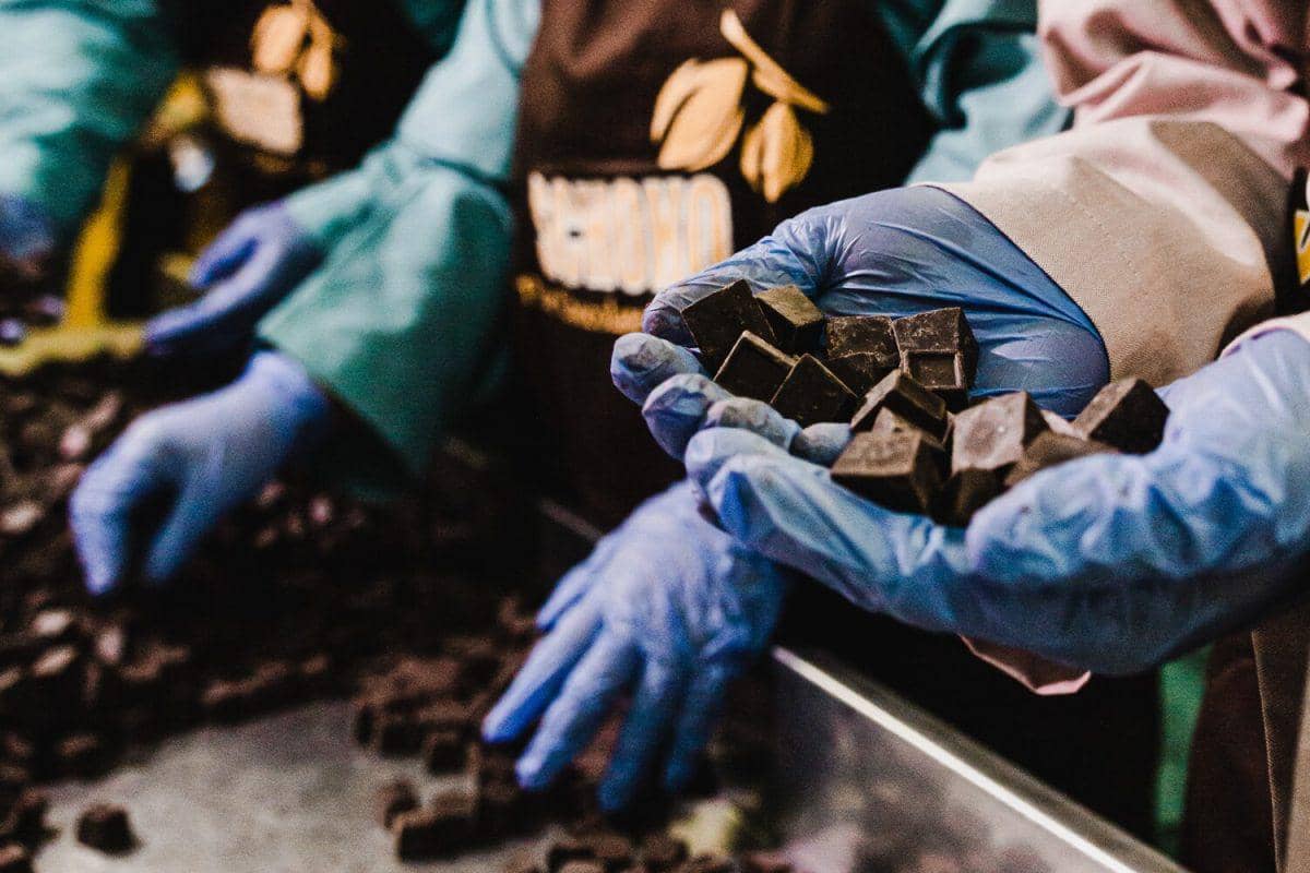 D'Lanier Sugar Free: Inovasi Cokelat untuk Gaya Hidup Lebih Sehat