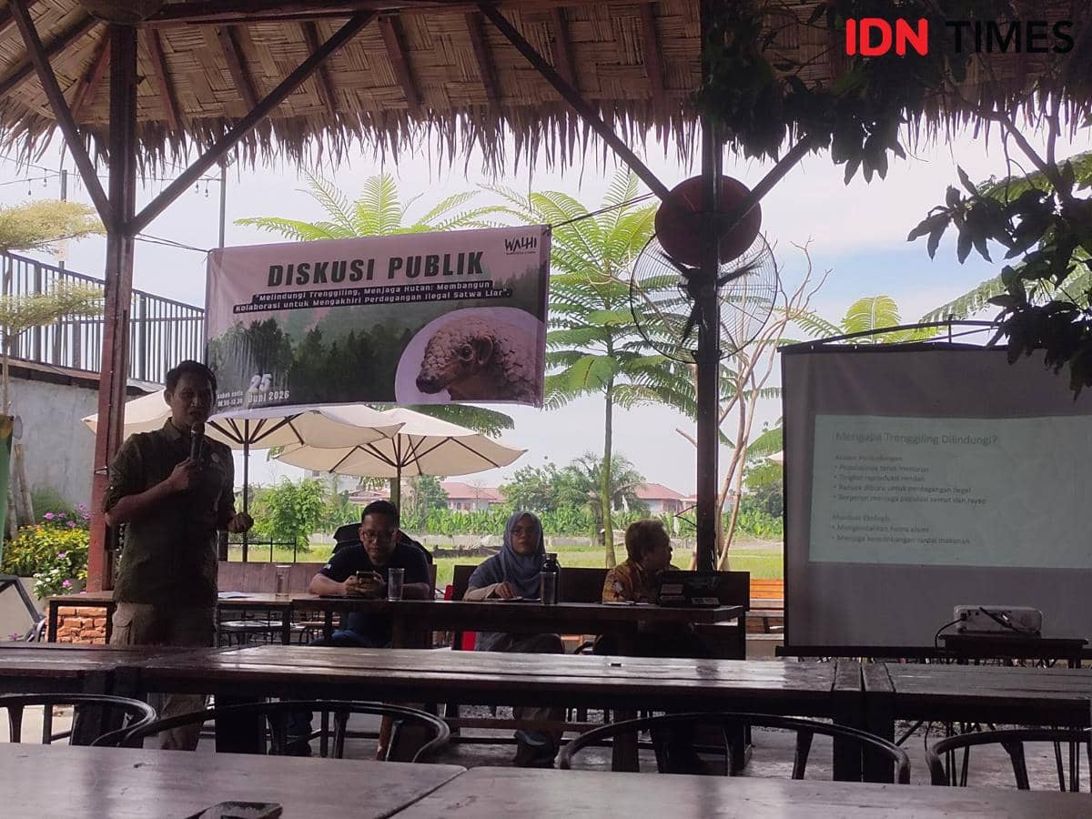 Diskusi WALHI: Sumut Tempat Transit Sisik Trenggiling, Populasi Terancam