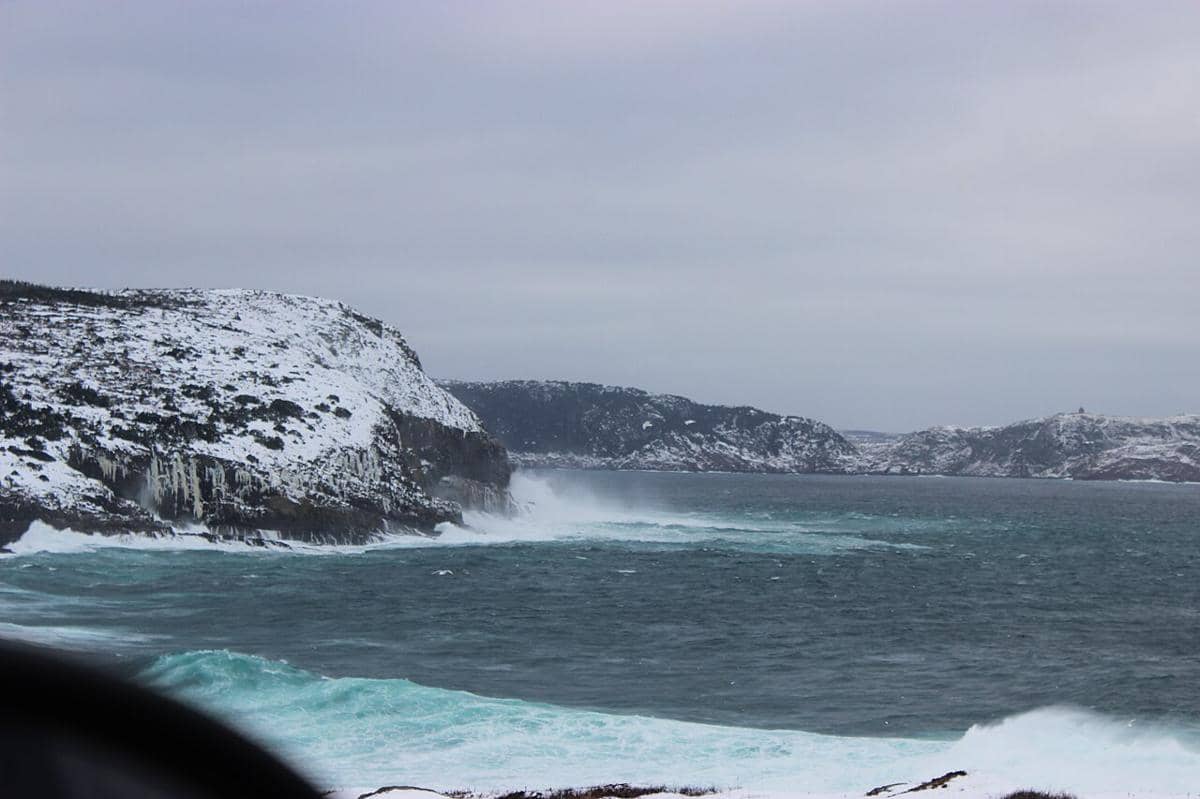 ilustrasi Iceberg Alley dan Cape Spear