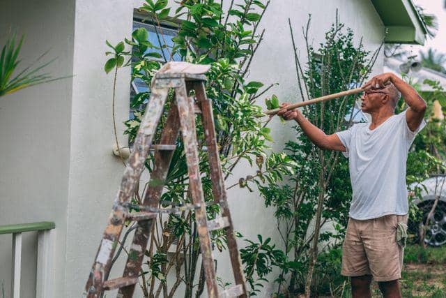 ilustrasi membersihkan kebun