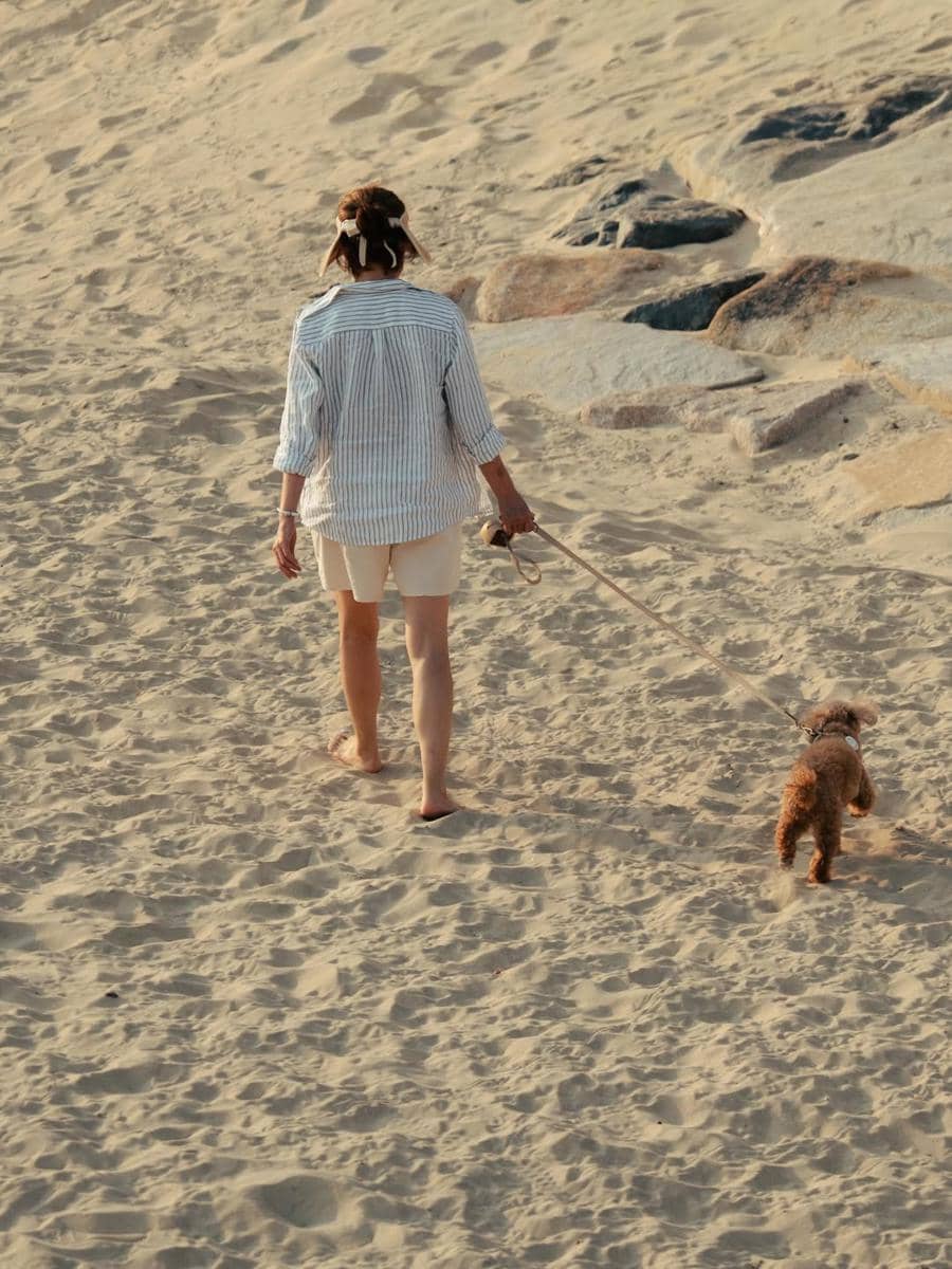 Seorang wanita berjalan di pantai berpasir bersama anjing kecil berwarna cokelat menggunakan tali, di bawah sinar matahari sore.