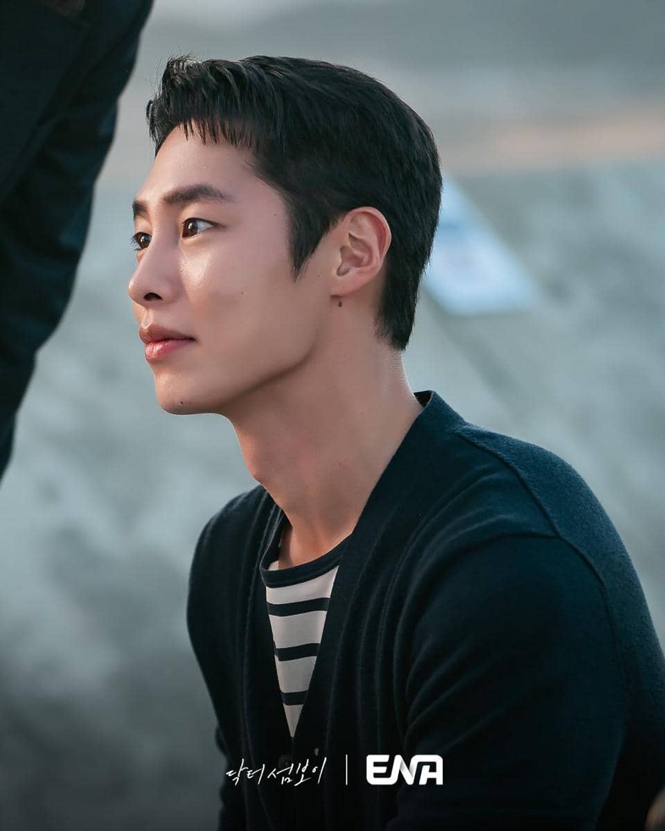 Still cut Doctor on the Edge