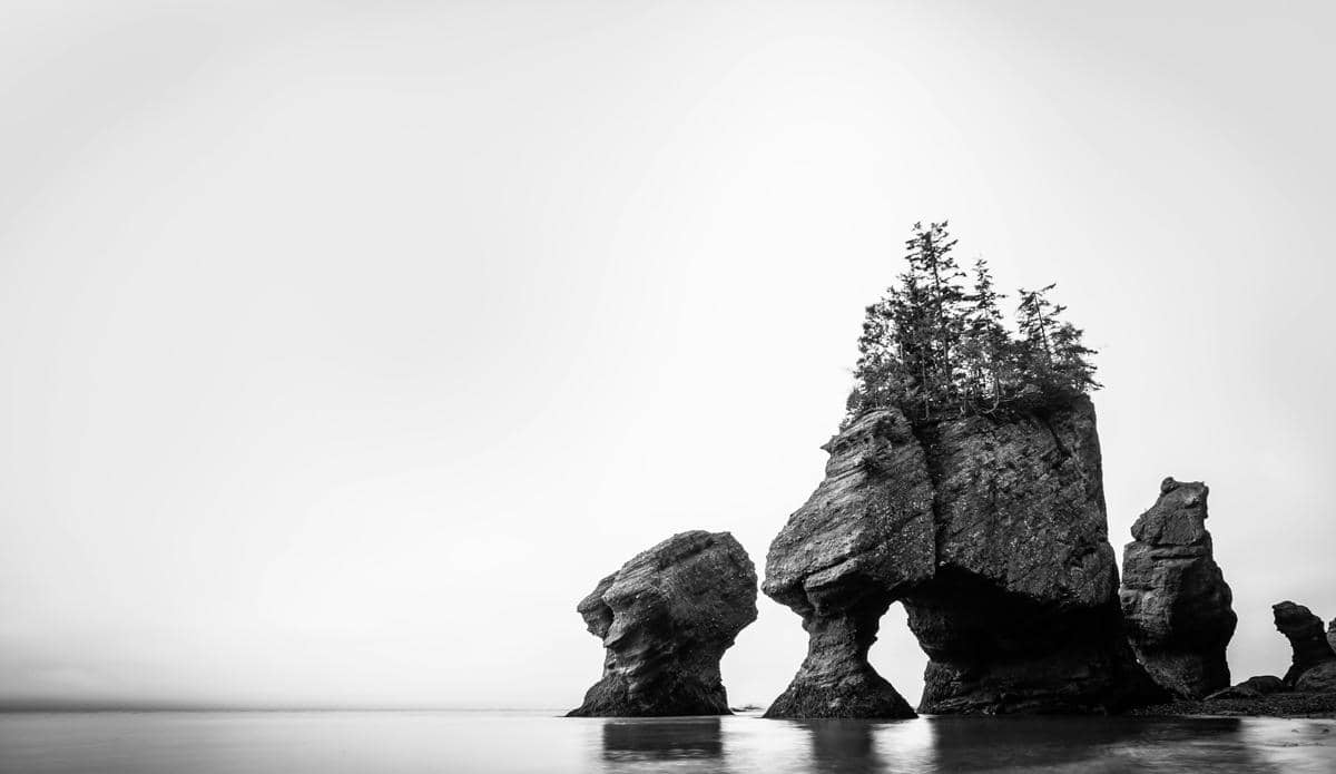 potret Bay of Fundy and Hopewell Rocks