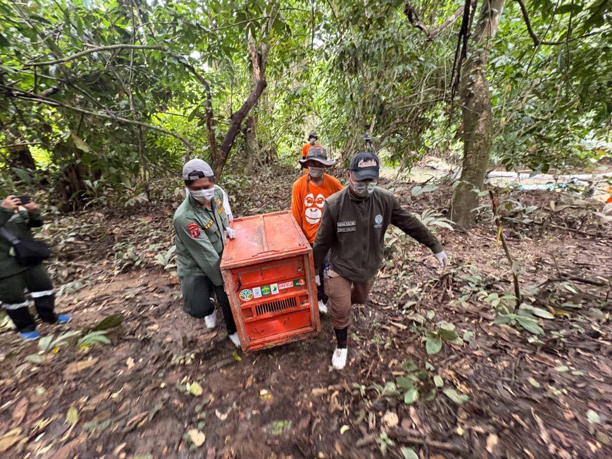 Hutan Kaltim