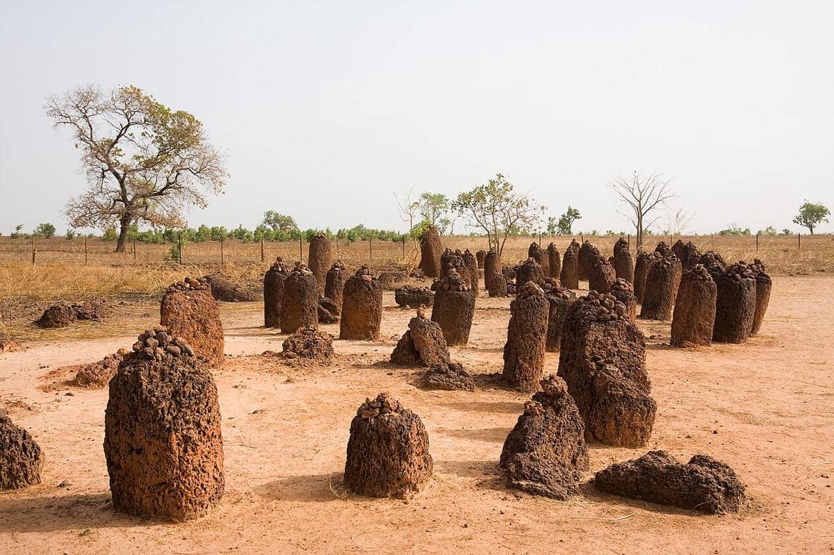Lingkaran Batu Senegambia, khususnya Lingkaran Batu Wassu, sebuah monumen megalitik yang terletak di distrik Niani, Gambia, Afrika Barat.