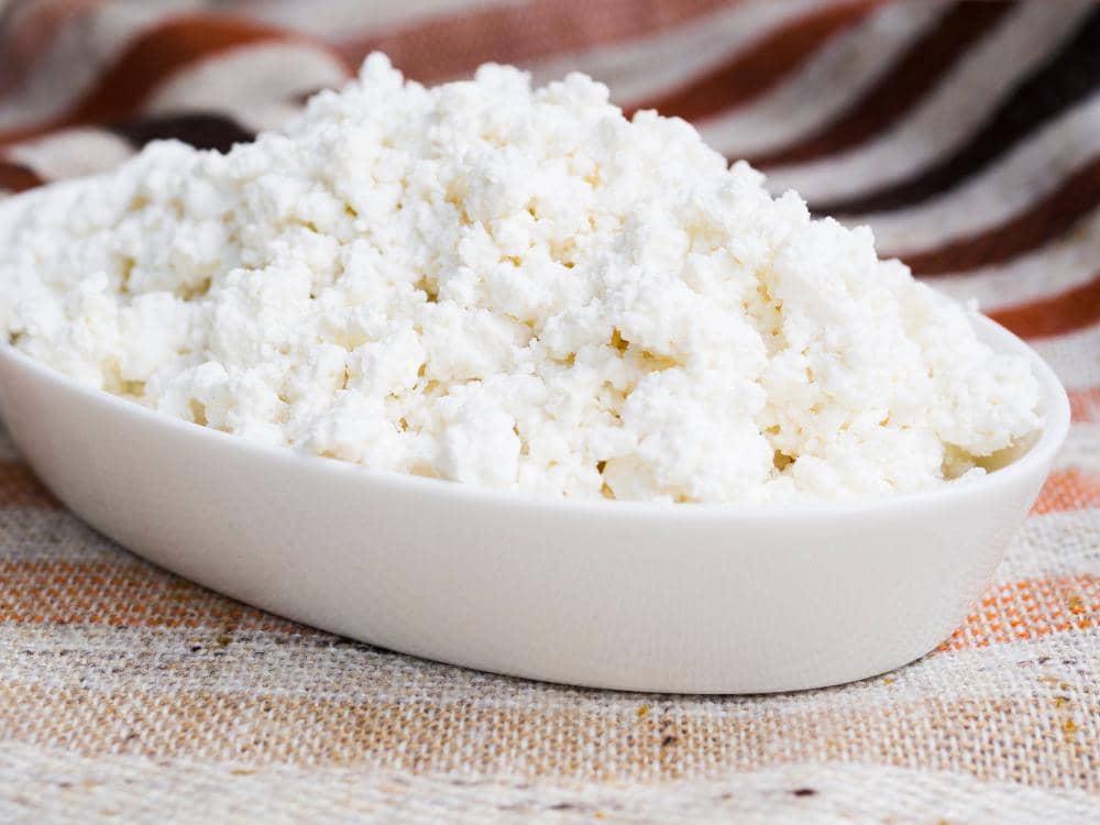 ilustrasi cottage cheese