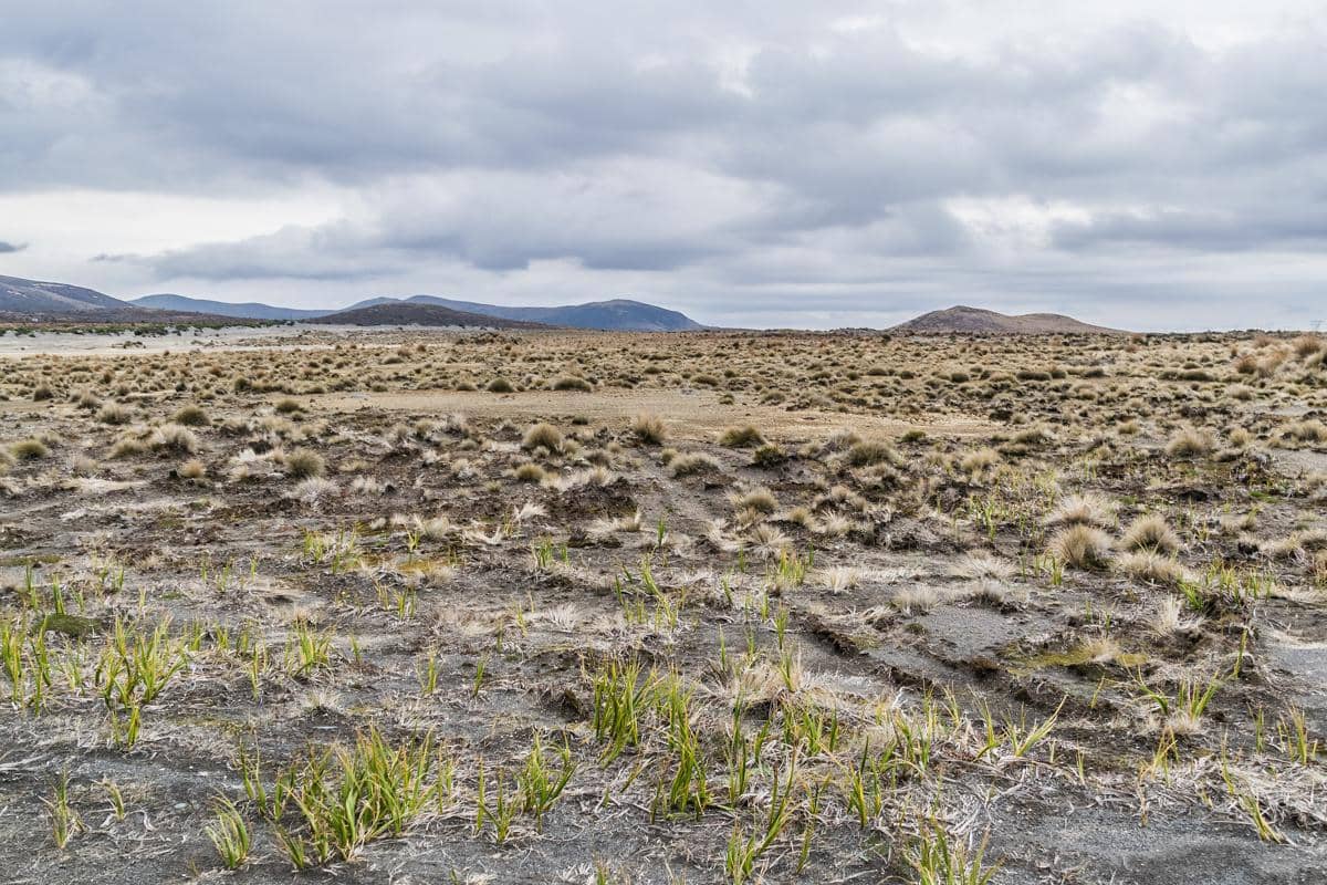 Rangipo Desert memiliki lanskap tandus yang kontras dengan alam hijau Selandia Baru