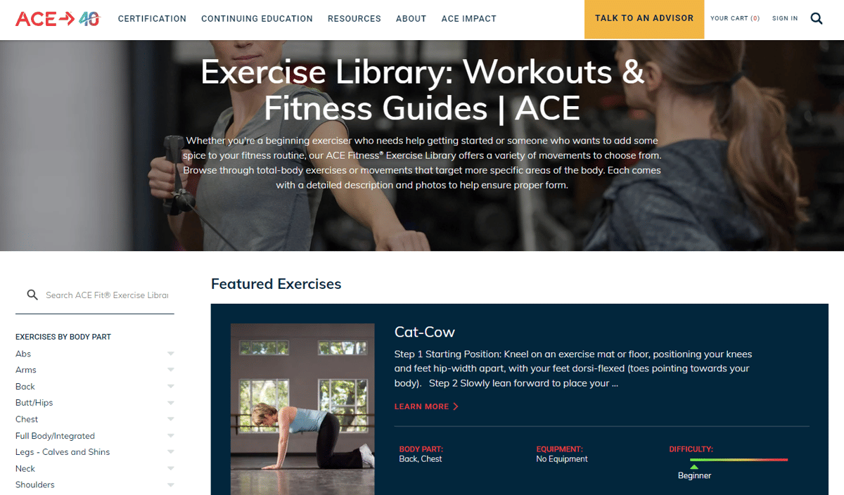tampilan website ACE Fitness