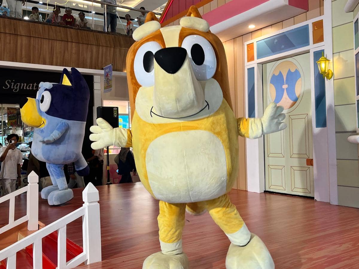 Libur sekolah, bluey, mal ciputra