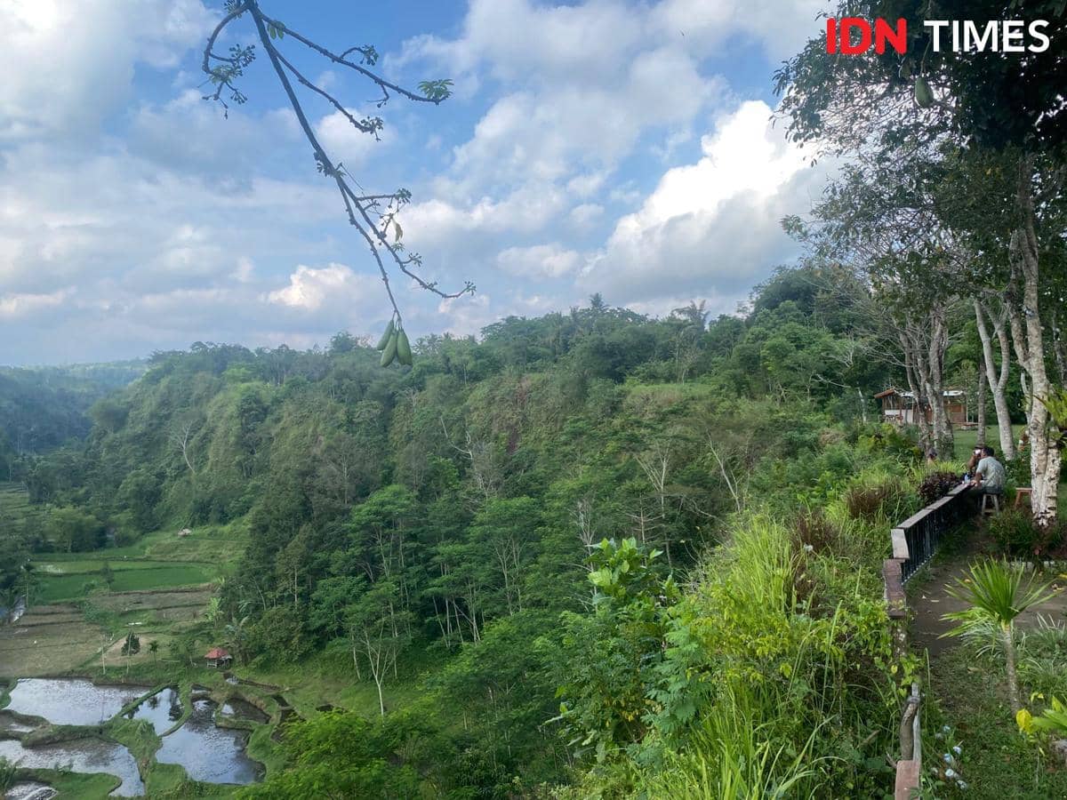 Konservasi Bambu Bikin Lembah Datu Jadi Wisata Hits di Lombok