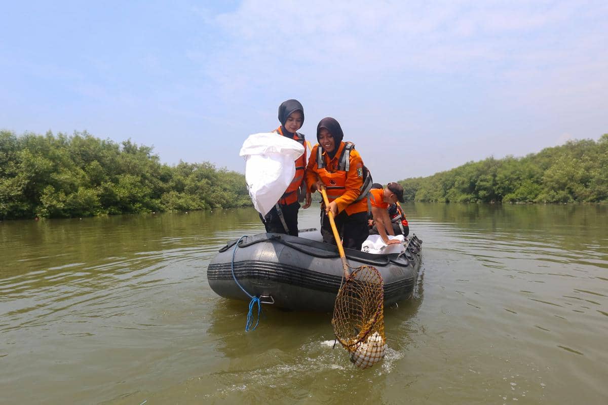 Sampah Nyangkut di Hutan Mangrove Surabaya akan Diubah Jadi BBM
