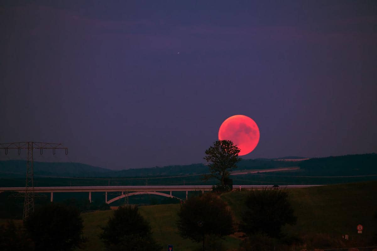 7 Fakta Mengejutkan Strawberry Moon 2026, Fenomena Ilusi Purnama
