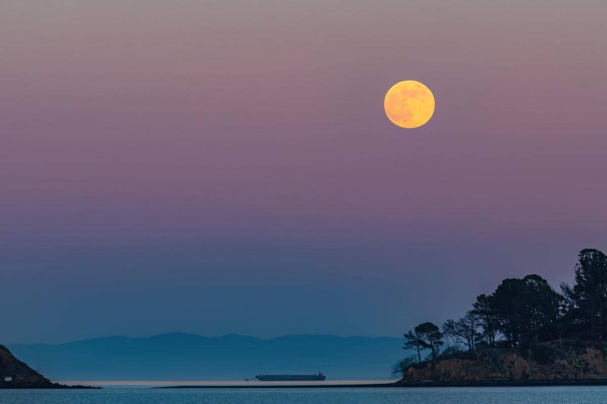 ilustrasi strawberry moon 2026