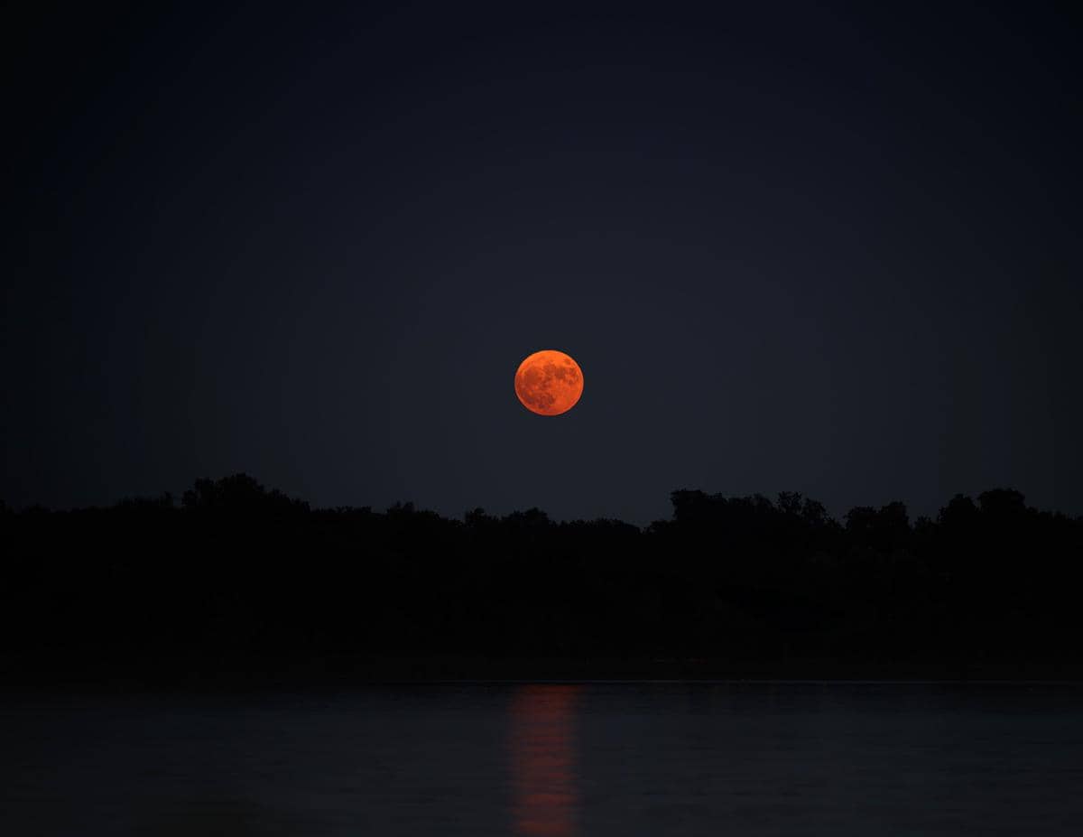 ilustrasi strawberry moon 2026