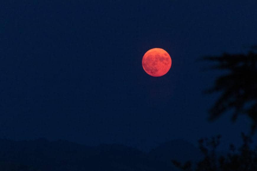 ilustrasi strawberry moon 2026