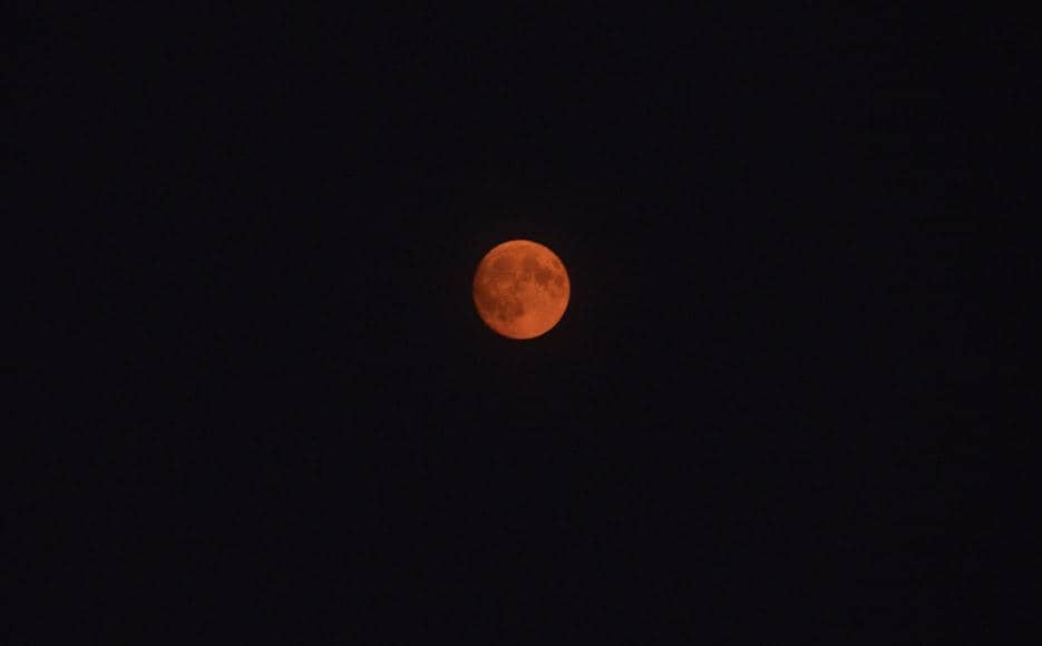 ilustrasi strawberry moon 2026