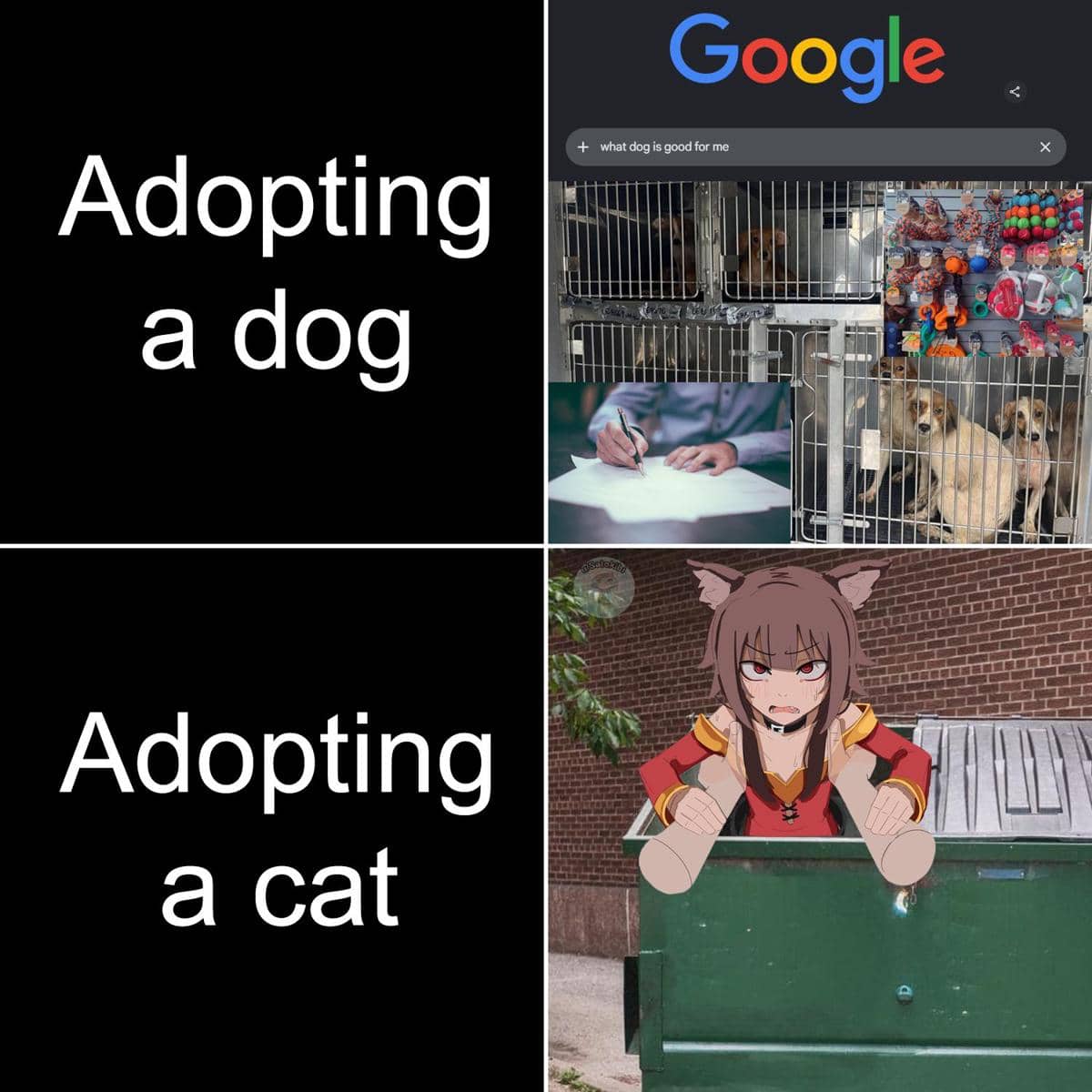 meme anime tentang adopsi