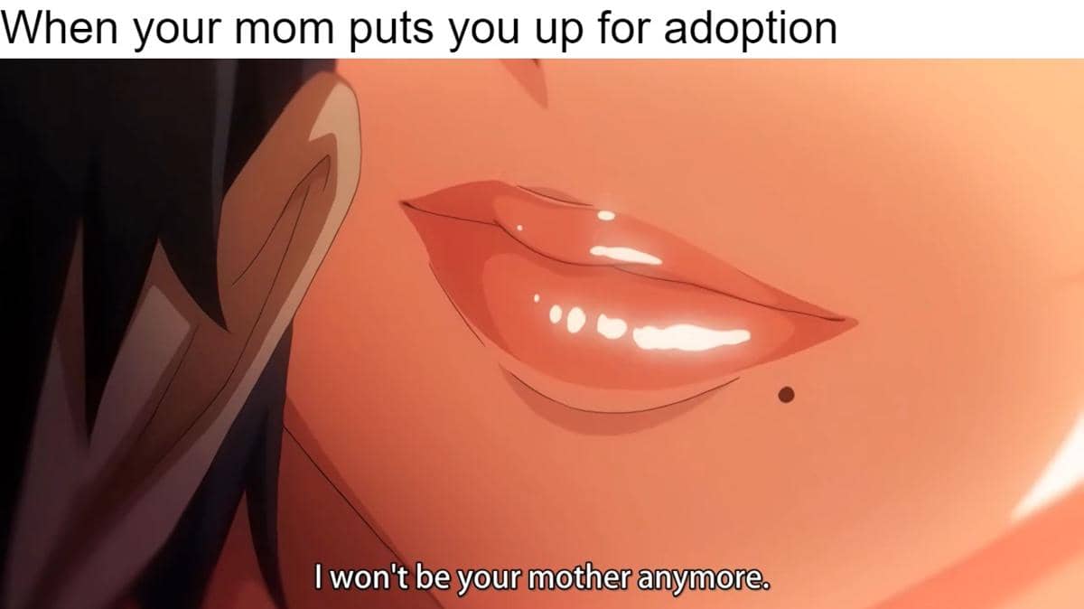 meme anime tentang adopsi