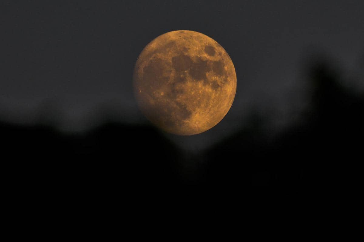 ilustrasi buck moon di Juli 2026