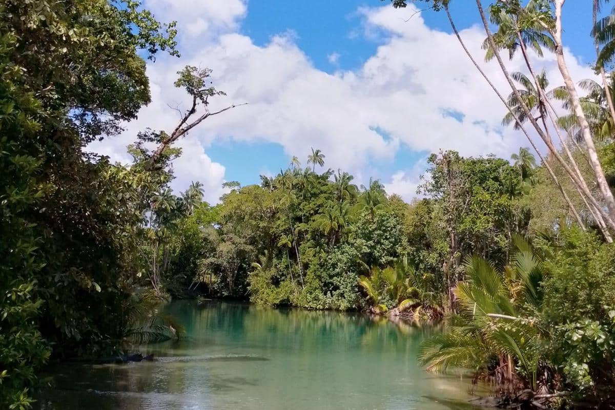 5 Hidden Gems di Bengkulu yang Wajib Masuk Bucket List Liburan