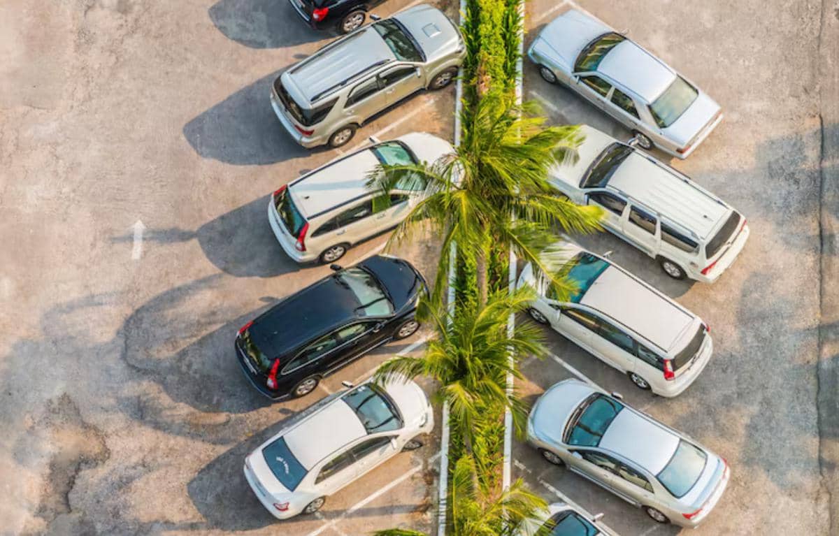 Deretan mobil terparkir di area parkir terbuka dengan pohon palem di tengah pembatas jalur kendaraan.