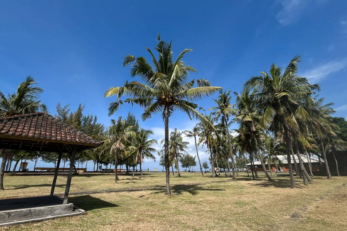 pepohonan rindang di tepi pantai dan dekat area pura (dok.pribadi/Natalia Indah)