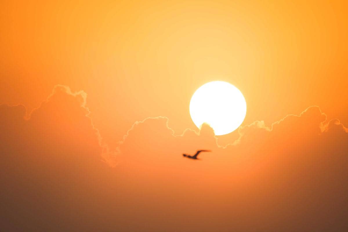 ilustrasi heatwave