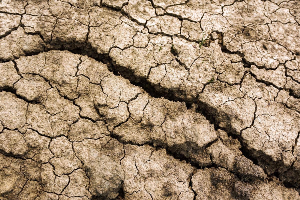 ilustrasi tanah retak akibat heatwave