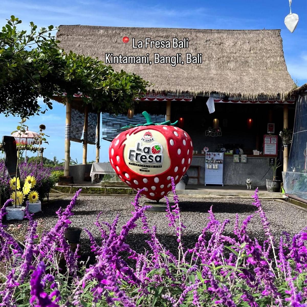 La Fresa Bali (instagram.com/lafresa_bali)