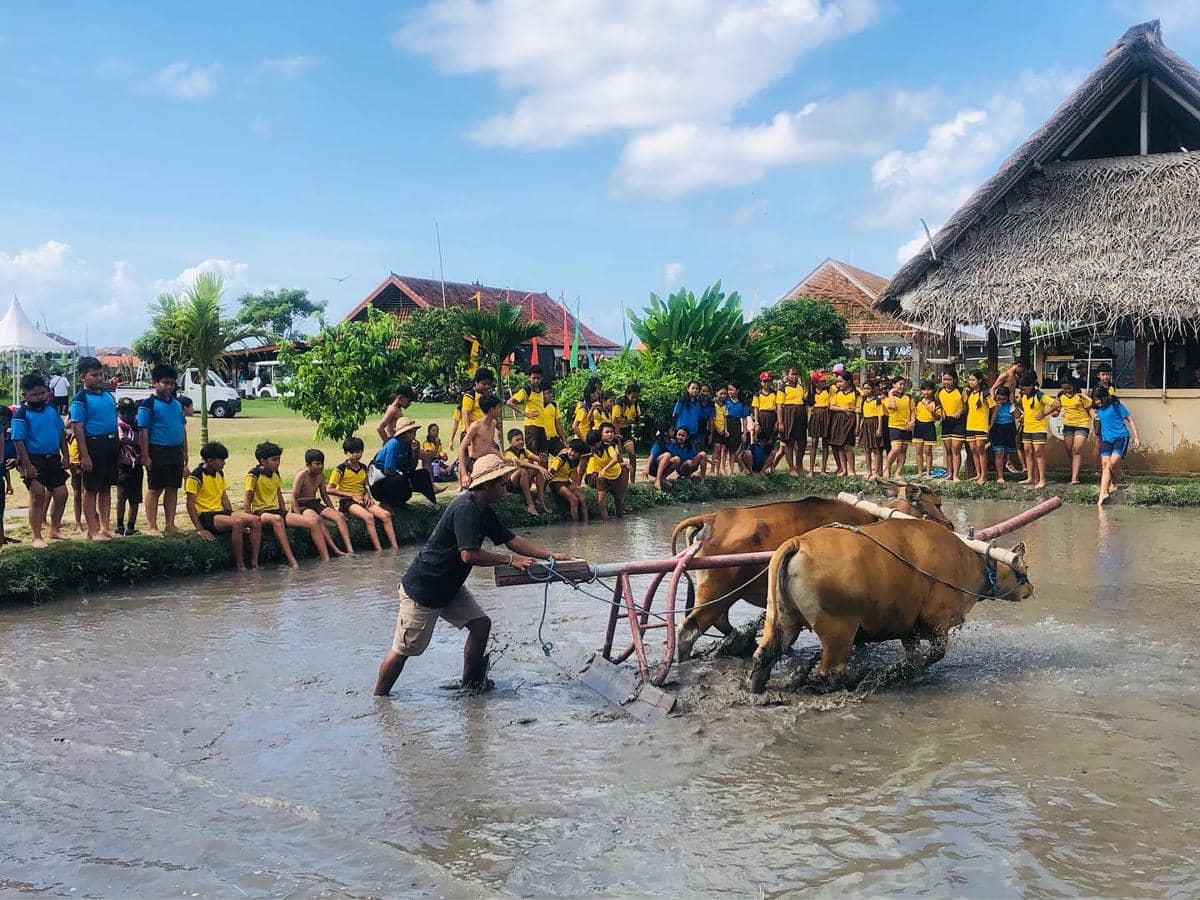 Wisata Edukasi Subak TeBA Majalangu (instagram.com/tebamajalangu)
