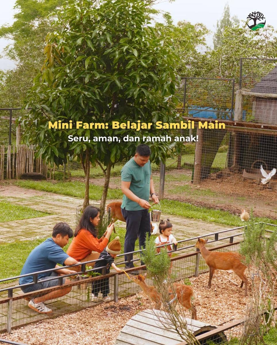 The SILA'S Agrotourism (instagram.com/the_silas_agrotourism)