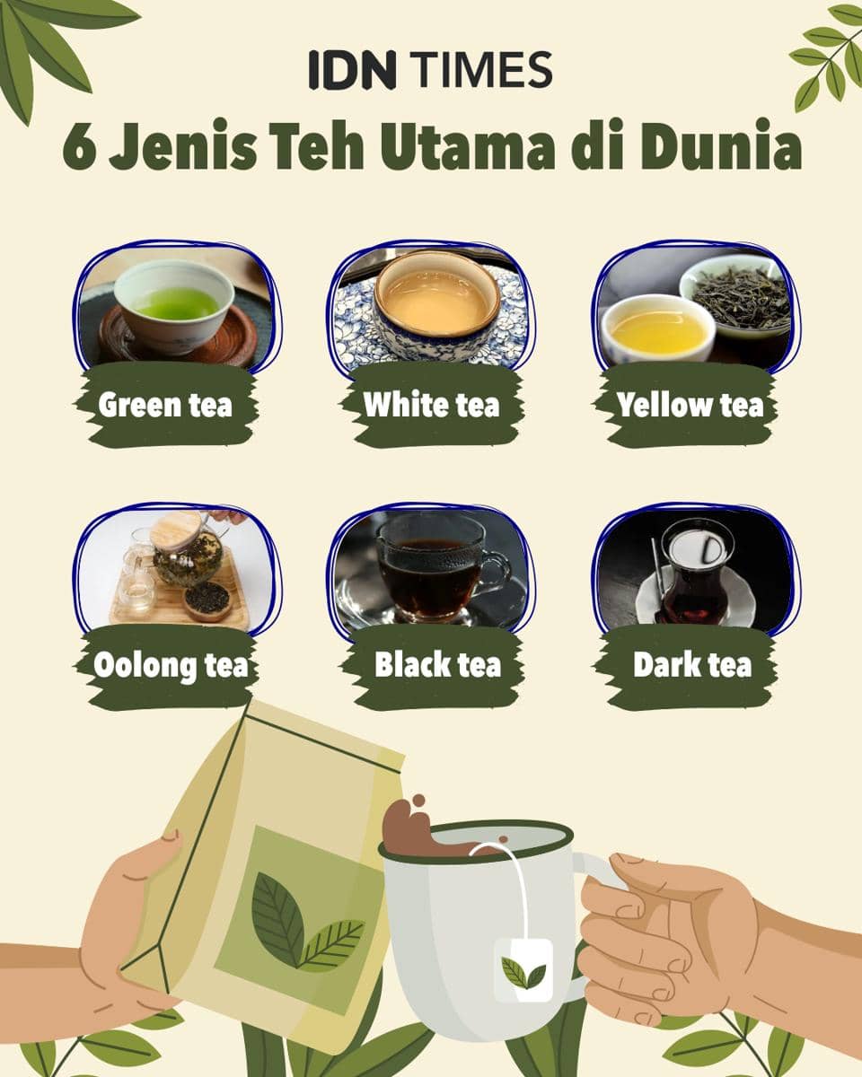 Infografik jenis teh utama di Indonesia 