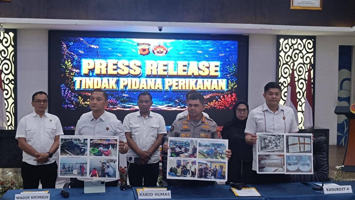 Bisnis Lobster Ilegal, Empat Orang Ditangkap di Pangandaran