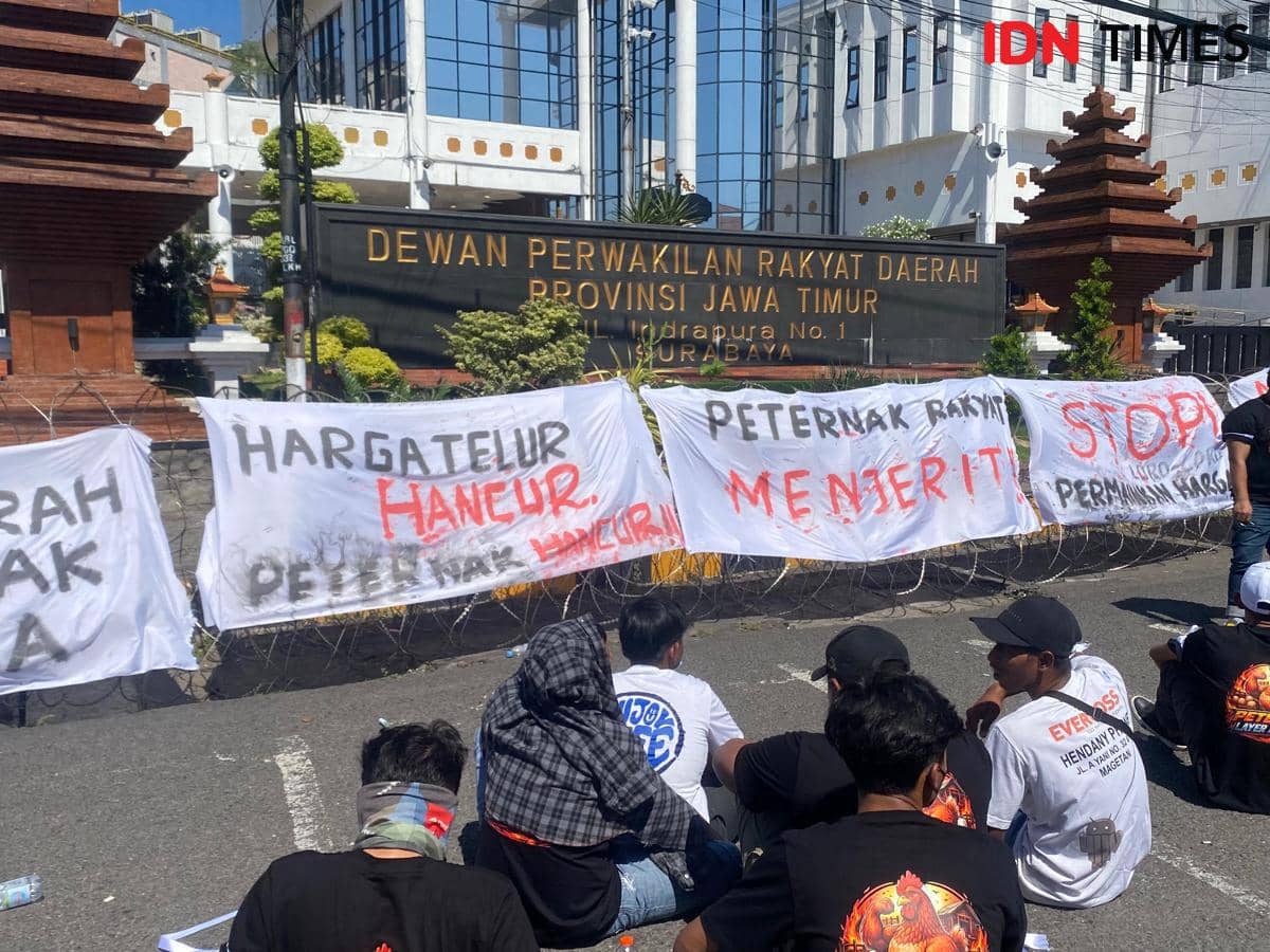 Peternak Jatim Desak Satgas Pangan Tegakkan HAP Telur