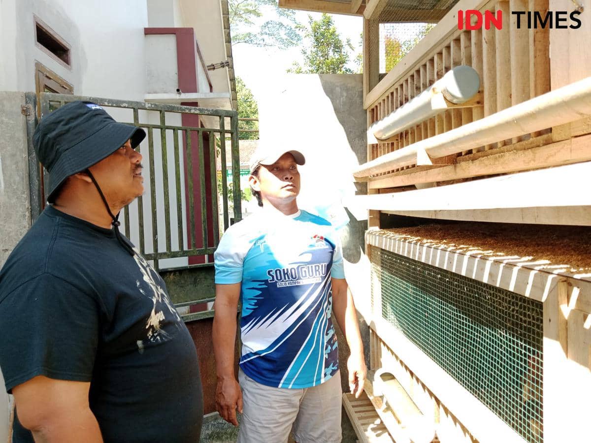 Dua pria berdiri di samping kandang ayam kayu di area terbuka, salah satunya mengenakan kaos hitam dan topi, sementara yang lain memakai kaos biru muda.